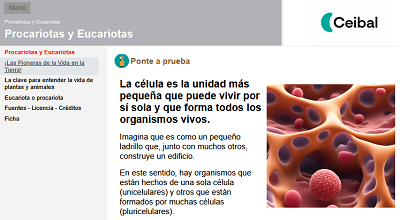Archivo:Ol899.png