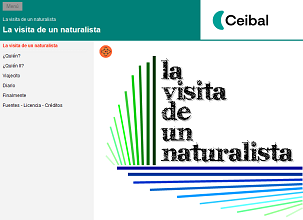 Archivo:Ol717.png