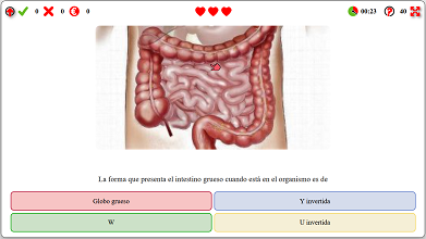 Archivo:O144.png