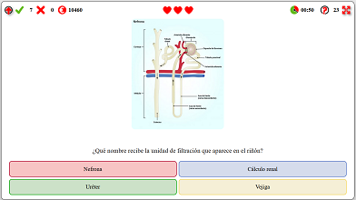 Archivo:O104.png