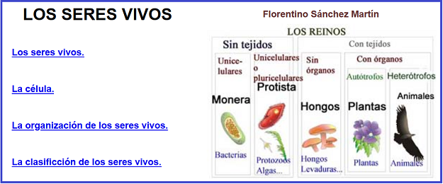 Archivo:Olga853.png