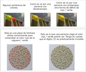 Simulacion1.png