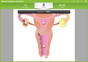 Olga866.png